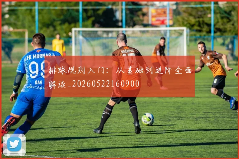 排球规则入门:从基础到进阶全面解读_20260522160900