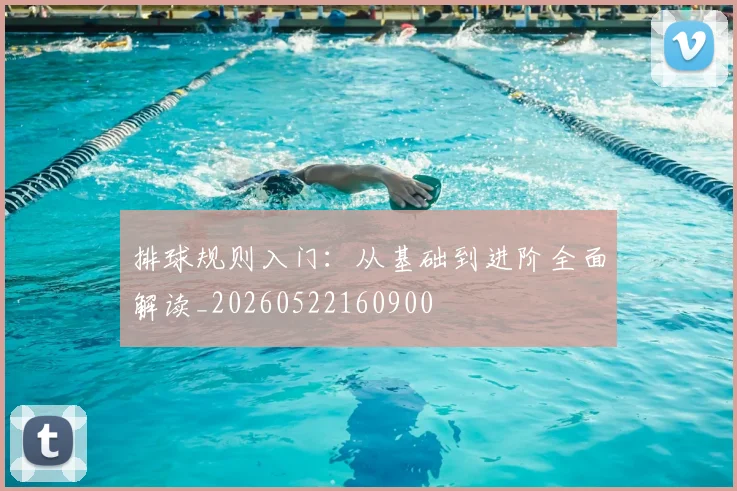 排球规则入门:从基础到进阶全面解读_20260522160900